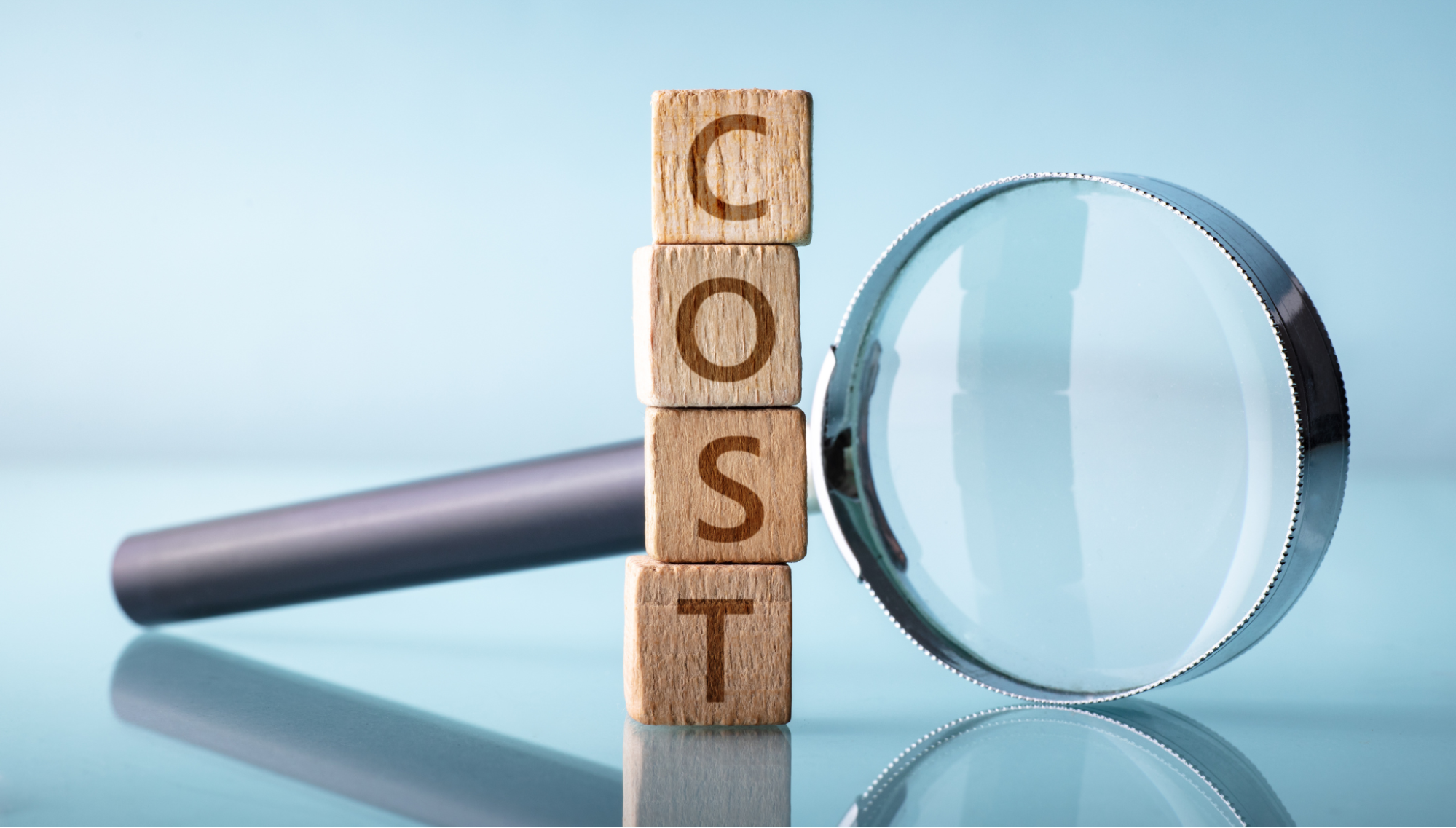 The numbers that matter: Cost comparison.